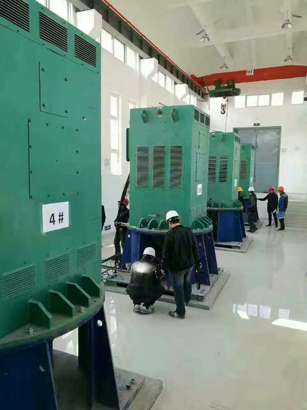 榆林某污水处理厂使用我厂的立式高压电机安装现场